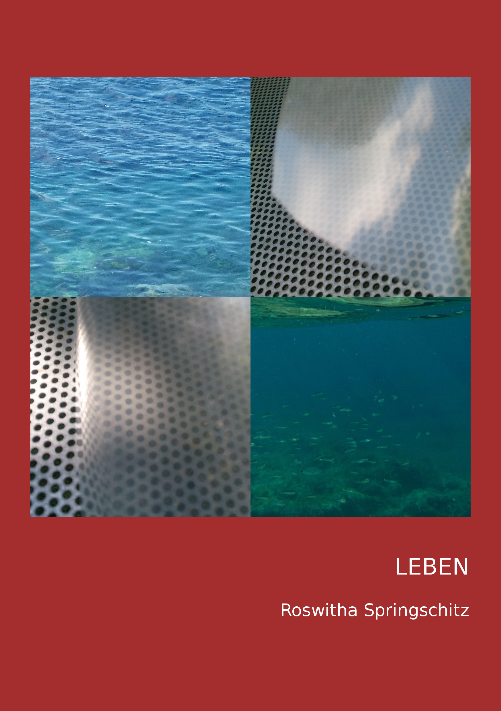 cover leben